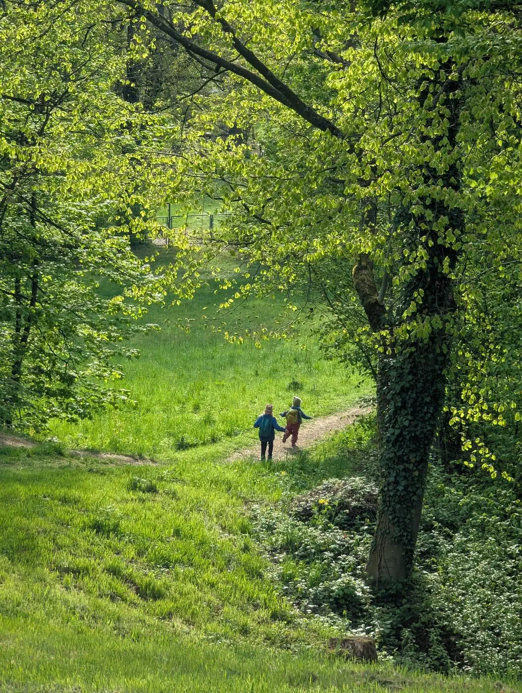 Zwei Kinder gehen über eine Wiese am Bachlberg