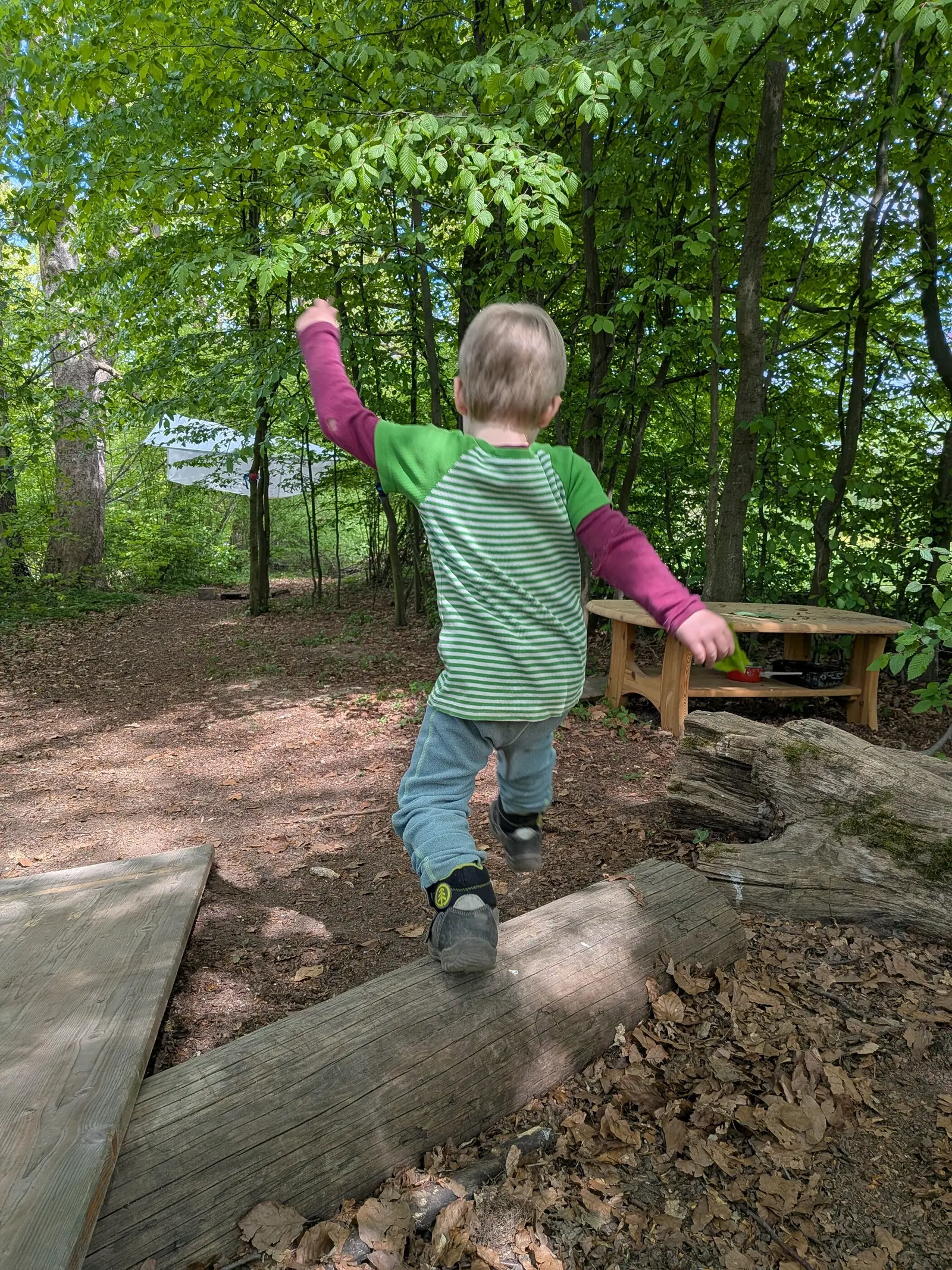 Ein Kleinkind balanciert im Wald über einen liegenden Baumstamm